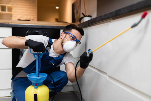 Best Emergency Pest Control  in Kenton, TN