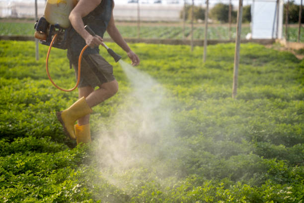 Best Pest Inspection Near Me  in Kenton, TN