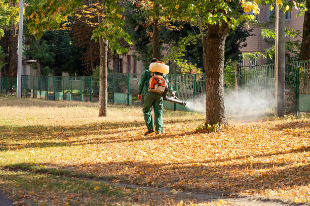 Flea Control Services in Kenton, TN