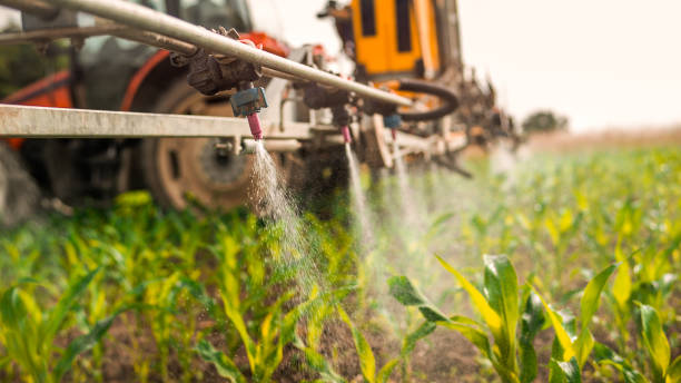 Best Commercial Pest Control Services  in Kenton, TN